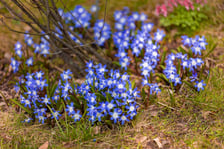 <p>Ogr&oacute;d Botaniczny Uniwersytetu Wrocławskiego otwiera się dla zwiedzających</p>