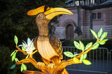 Garden of Lights – Dzika Azja