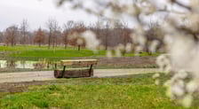 Park Krzycki