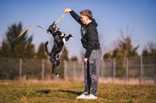 TANGO, 2 lata - energiczny, bardzo aktywny i wesoły. Nie przepada za innymi psiakami ale człowieka pokocha bezgranicznie.