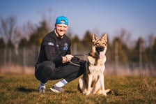 GROM, 1 rok - piesek w typie wilczka, wymaga dużej wiedzy na temat rasy. Bardzo miły i wylewny, będzie towarzyszem wielu aktywności.