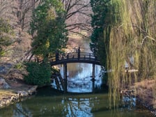 <p>Ogr&oacute;d Japoński otwiera się dla zwiedzających na wiosnę 1 kwietnia</p>