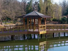 <p>Ogr&oacute;d Japoński otwiera się dla zwiedzających na wiosnę 1 kwietnia</p>