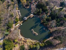 <p>Ogr&oacute;d Japoński otwiera się dla zwiedzających na wiosnę 1 kwietnia</p>