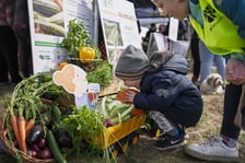 Piknik #WROśnijweWROcław przy ul. Lechitów
