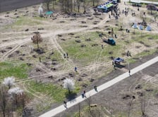 Piknik #WROśnijweWROcław przy ul. Lechitów