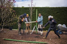 Festiwal Magnolii w Ogrodzie Botanicznym