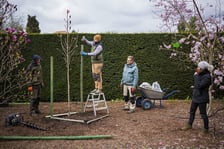 Festiwal Magnolii w Ogrodzie Botanicznym