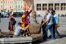Sadzenie drzew na Rynku we Wrocławiu