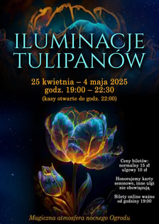 <p>Iluminacje tulipan&oacute;w nocą w Ogrodzie Botanicznym UWr</p>