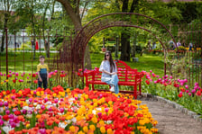 Tulipany w Ogrodzie Botanicznym