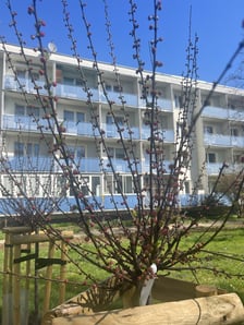 <p>Nasadzenia, kt&oacute;re pojawiły się na wrocławskich podw&oacute;rkach. To ponad 200 drzew</p>