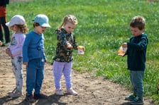 <p>Dzieciaki z pobliskiego przedszkola sieją łąkę kwietną na skwerze Hansa Scharouna</p>