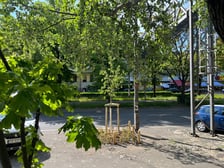 Wiosenne nasadzenia ZZM we Wrocławiu