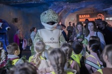 Z okazji Światowego Dnia Żółwia wrocławskie Hydropolis i ZOO Wrocław ogłosiły partnerstwo na rzecz środowiska i zagrożonych gatunków.