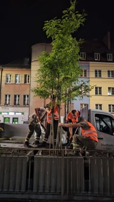 Zielony przystanek we Wrocławiu