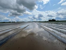 Zniszczenia na polach gospodarstwa rodziny Sznajderów pod Żmigrodem
