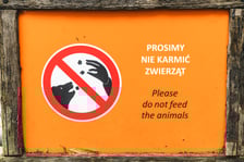Tabliczka z napisem Prosimy nie karmić zwierząt