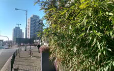 Wiosna we Wrocławiu