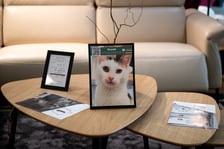 <p>Wystawa zdjęć zwierzak&oacute;w do adopcji w galerii wnętrz Domar przy ulicy Braniborskiej 14</p>