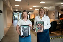 <p>Wystawa zdjęć zwierzak&oacute;w do adopcji w galerii wnętrz Domar przy ulicy Braniborskiej 14</p>