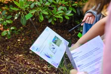 Wrocławska Akademia Młodego Ekologa - warsztaty w Ogrodzie Botanicznym