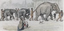 Wrocławskie zoo przed wojną