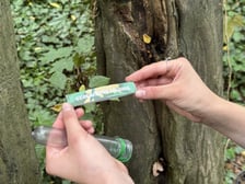 Gra Geocaching w jednym z wrocławskich parków