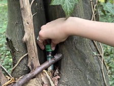 Gra Geocaching w jednym z wrocławskich parków