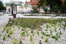 Prace na placu przy pomniku Chrobrego we Wrocławiu, 28 lipca 2025