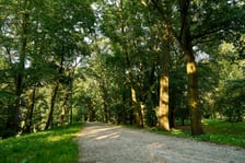 <p>Aleja dęb&oacute;w szypułkowych, Park Szczytnicki, ul. R&oacute;życkiego</p>