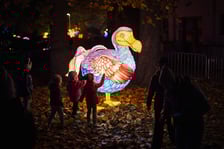<p>Wystawa garden of Lights-Ogród Świateł „Dzika Ameryka” potrwa w Zoo Wrocław od 31 października do 1 marca 2026</p>