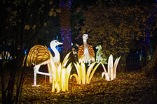 <p>Wystawa garden of Lights-Ogród Świateł „Dzika Ameryka” potrwa w Zoo Wrocław od 31 października do 1 marca 2026</p>