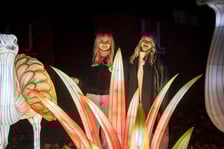 <p>Wystawa garden of Lights-Ogród Świateł „Dzika Ameryka” potrwa w Zoo Wrocław od 31 października do 1 marca 2026</p>