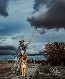 Halloweenowa sesja z podopiecznymi wrocławskiego Schroniska dla Bezdomnych Zwierząt.