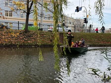 Sadzenie nowych rośłin na wyspach Fosy Miejskiej