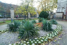 Jesienne nasadzenia rabat kwietnych, bylin i trwa ozdobnych - październik / listopad 2025 r.