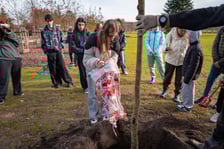 Dzieci z pieczy zastępczej sadzą drzewa w powstających Ogrodach Szczytnickich