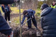 Dzieci z pieczy zastępczej sadzą drzewa w powstających Ogrodach Szczytnickich