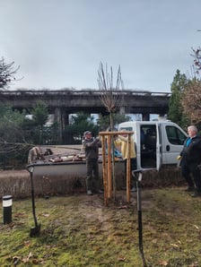 Zimowe nasadzenia w Ogrodzie Japońskim we Wrocławiu