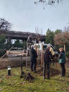 Zimowe nasadzenia w Ogrodzie Japońskim we Wrocławiu