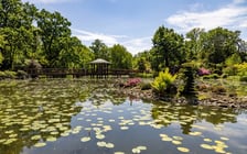 Ogród Japoński latem