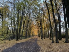 Aleja Romera w Parku Grabiszyńskim.
