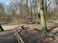 Aleja Romera w Parku Grabiszyńskim.