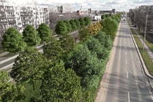 Zapewne tak za kilkanaście lat będzie wyglądać Armii Krajowej - wizualizacja przedstawia aleję, gdy już urosną posadzone na niej drzewa