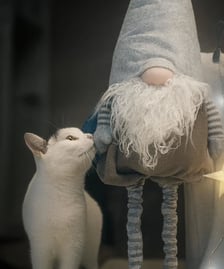 Zdjęcie ze świątecznej sesji Ekostraży