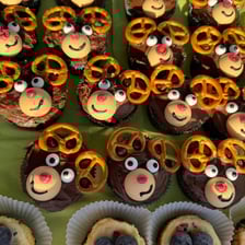 Rok 2025 we wrocławskim Schronisku dla Bezdomnych Zwierząt