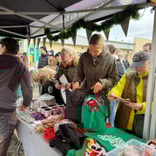 Rok 2025 we wrocławskim Schronisku dla Bezdomnych Zwierząt