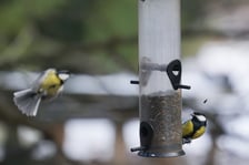 <p>Na zdjęciach Ogr&oacute;d Botaniczny Uniwersytetu Wrocławskiego czynny zimą w soboty i niedziele</p>