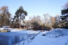 <p>Na zdjęciach Ogr&oacute;d Botaniczny Uniwersytetu Wrocławskiego czynny zimą w soboty i niedziele</p>